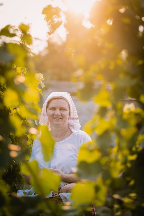 Pavla Esterková – vinařova žena